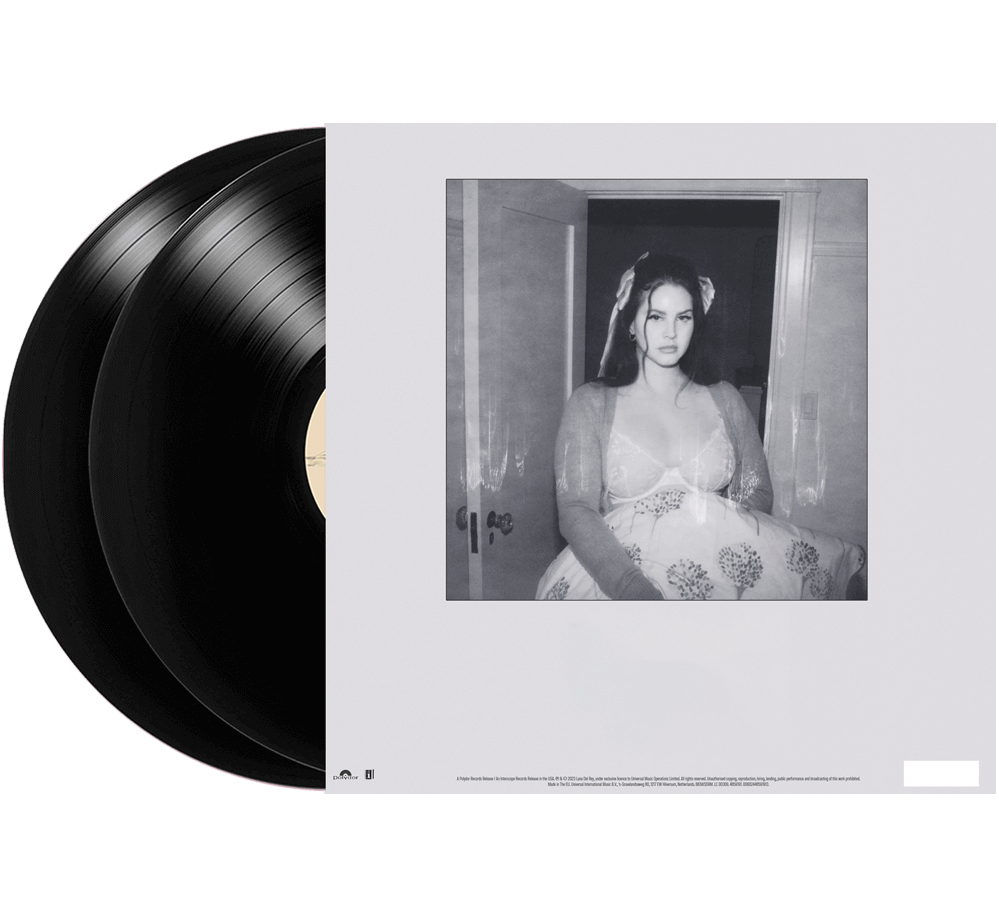 Did you know that there’s a tunnel under Ocean Blvd Vinyl - Lana Del Rey
