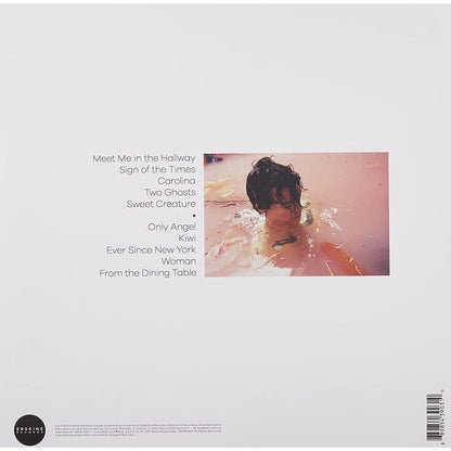 Harry Styles Vinyl - Harry Styles