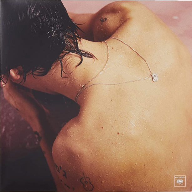 Harry Styles Vinyl - Harry Styles