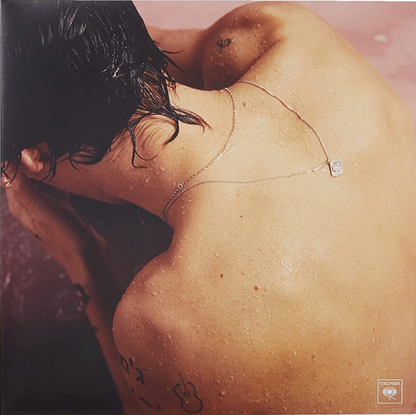 Harry Styles Vinyl - Harry Styles