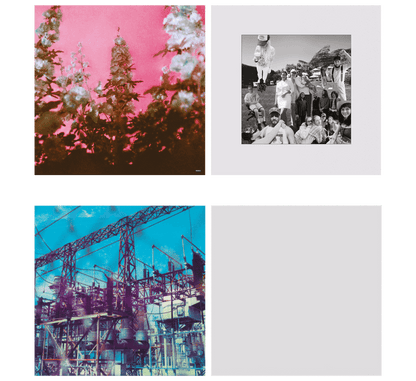 Did you know that there’s a tunnel under Ocean Blvd Vinyl - Lana Del Rey